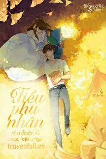 Truyện Tiểu Phu Nhân