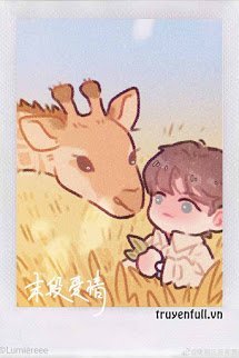 Truyện Tình Cuối