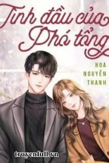 Truyện Tình Đầu Của Phó Tổng
