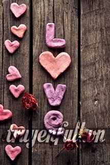 Truyện Trái Tim Đá Biết Yêu