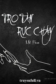 Truyện Tro Tàn Rực Cháy