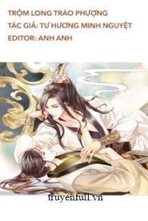 Truyện Trộm Long Tráo Phượng