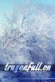 Truyện Từng Coi Một Người Là Tất Cả