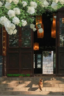 Truyện Tường Hoa Năm Ấy