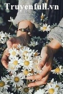 Truyện Vạn Dặm Cúc Họa Mi