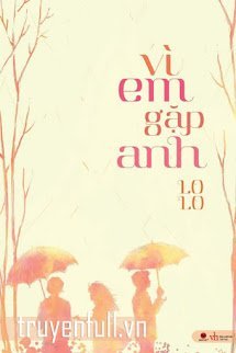 Truyện Vì Em Gặp Anh