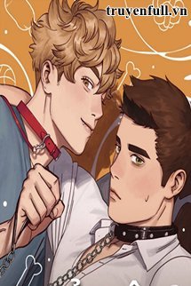 Truyện Vị Trí Hoàn Mỹ