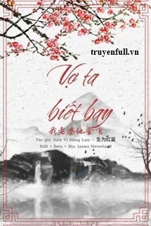 Truyện Vợ Ta Biết Bay