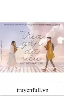 Truyện Vừa Gặp Đã Yêu 2
