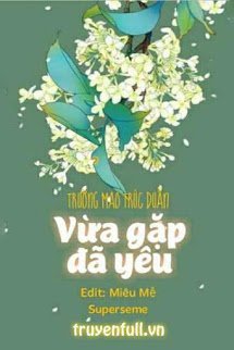 Truyện Vừa Gặp Đã Yêu