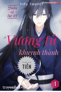 Truyện Vương Tử Khuynh Thành