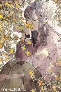 Truyện Xin Lỗi, Là Tôi Không Phải Cô Ấy