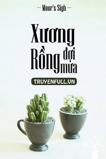 Truyện Xương Rồng Đợi Mưa