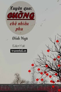 Truyện Xuyên Qua: Cưỡng Chế Nhiều Phu