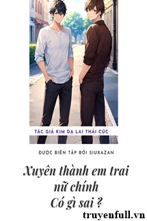 Truyện Xuyên Thành Em Trai Nữ Chính Thì Có Gì Sai