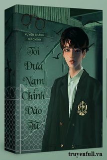 Truyện Xuyên Thành Nữ Chính Tôi Đưa Nam Chính Vào Tù