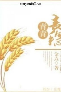 Truyện Xuyên Việt Chi Thanh Thanh Mạch Tuệ